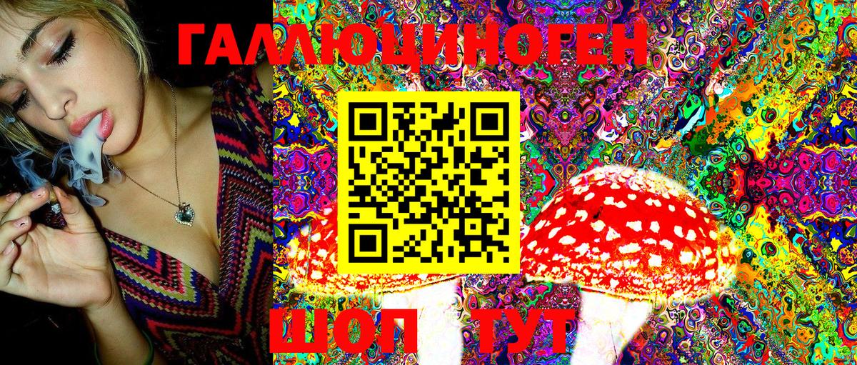 Псилоцибиновые грибы Cubensis Нефтекумск