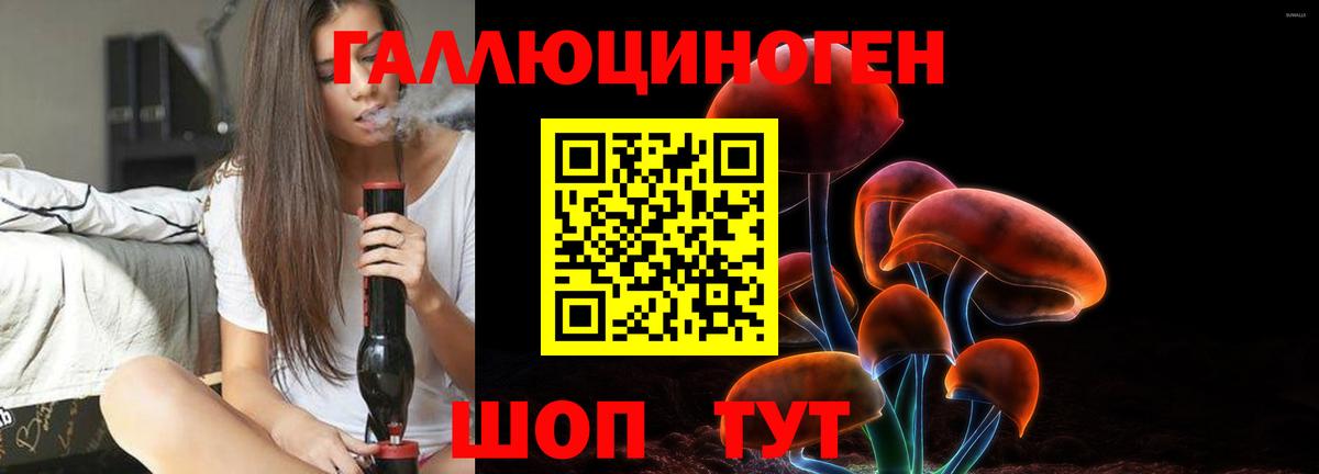 Псилоцибиновые грибы Psilocybine cubensis  Галлюциногенные грибы Psilocybine cubensis  Нефтекумск  магазин продажи   Вход с VPN 
